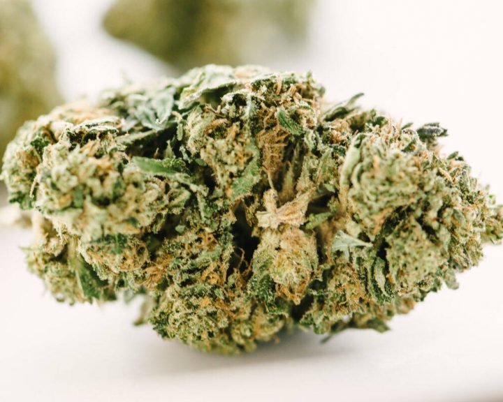 cbd flower